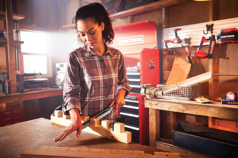 View of CRAFTSMAN Files & Rasps being used by consumer