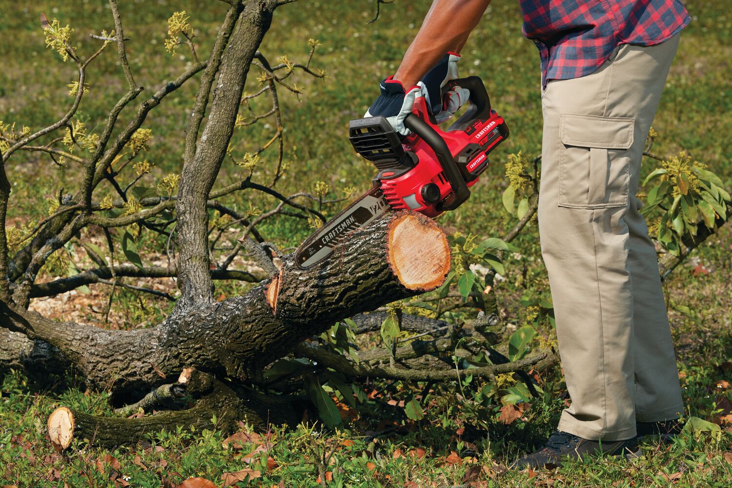 View of CRAFTSMAN Chain Saws being used by consumer