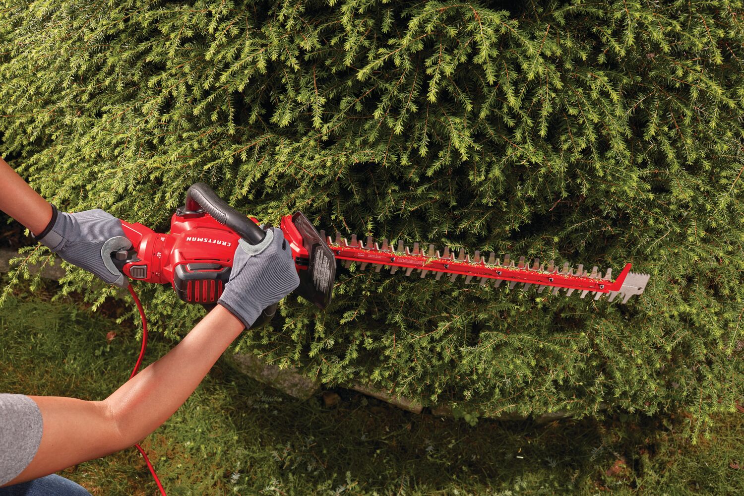 View of CRAFTSMAN Hedge Trimmers being used by consumer