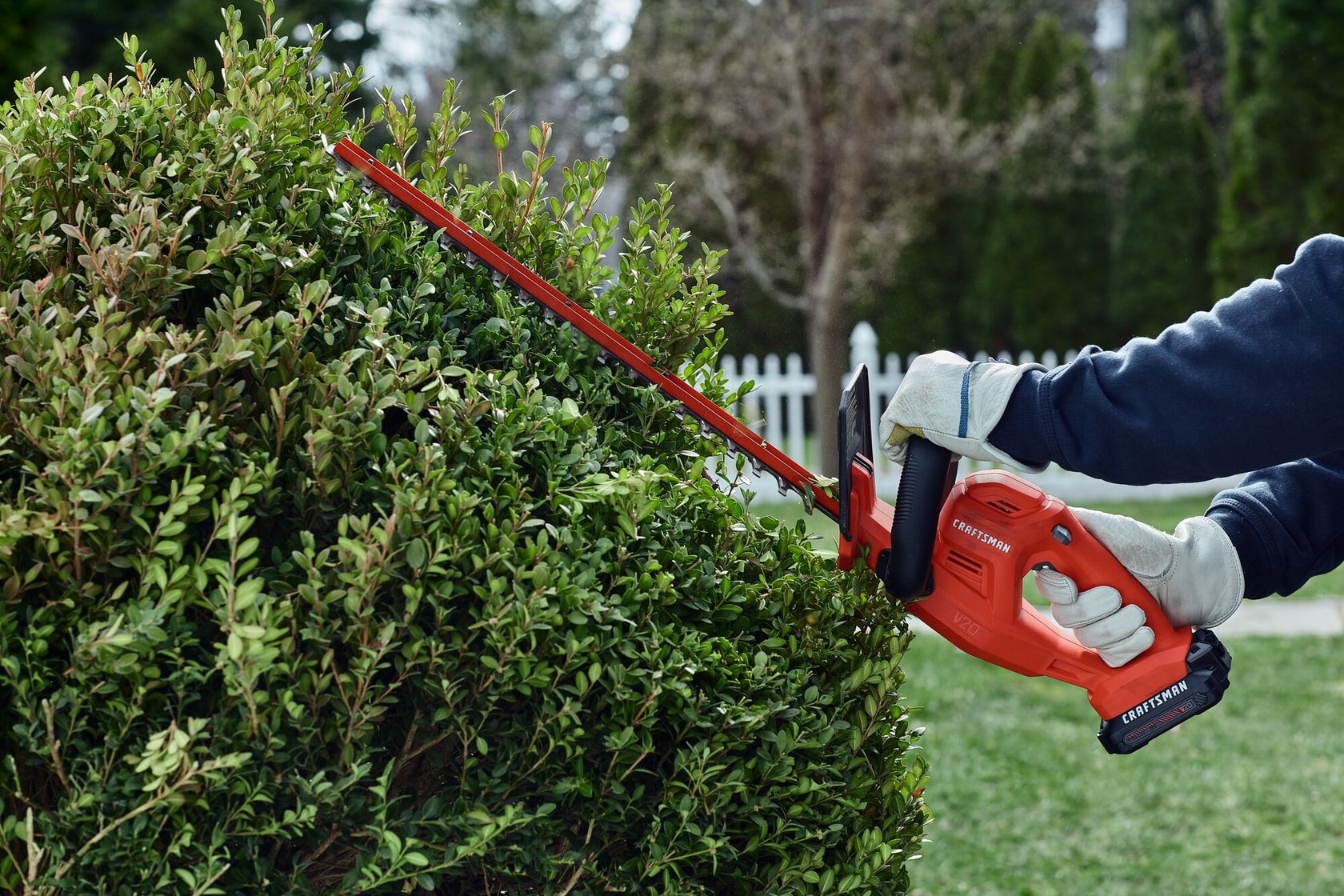 View of CRAFTSMAN Hedge Trimmers being used by consumer