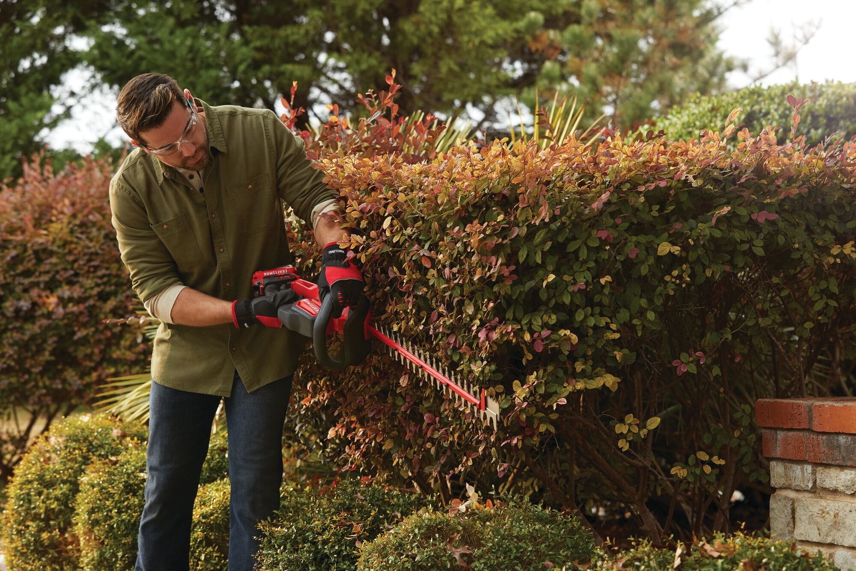 Cordless 22 inch hedge trimmer being used to level sides of hedge.