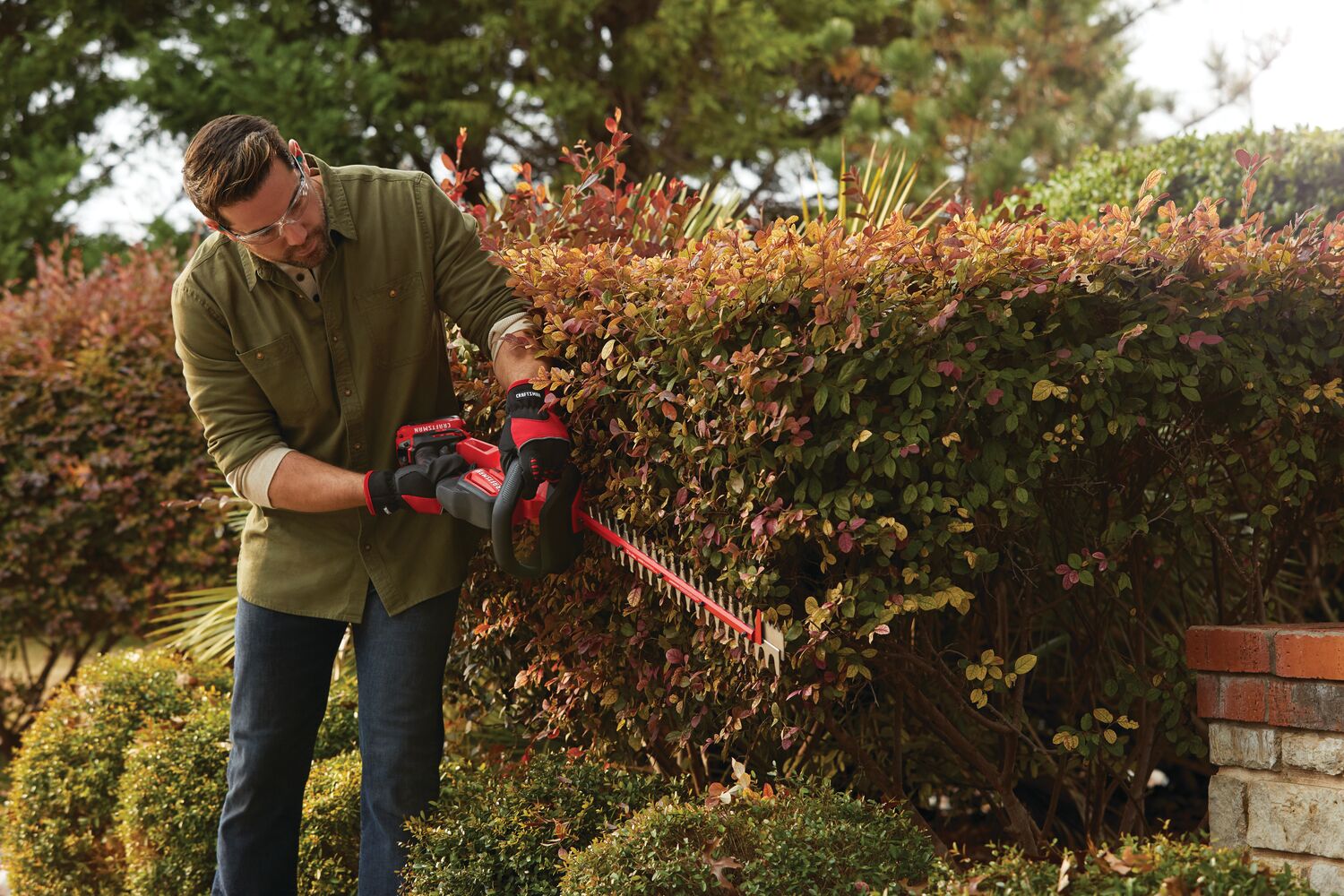 Cordless 22 inch hedge trimmer being used to level sides of hedge.