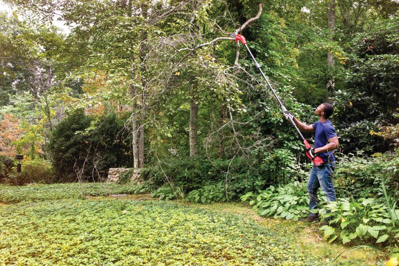 View of CRAFTSMAN Pole Saws being used by consumer