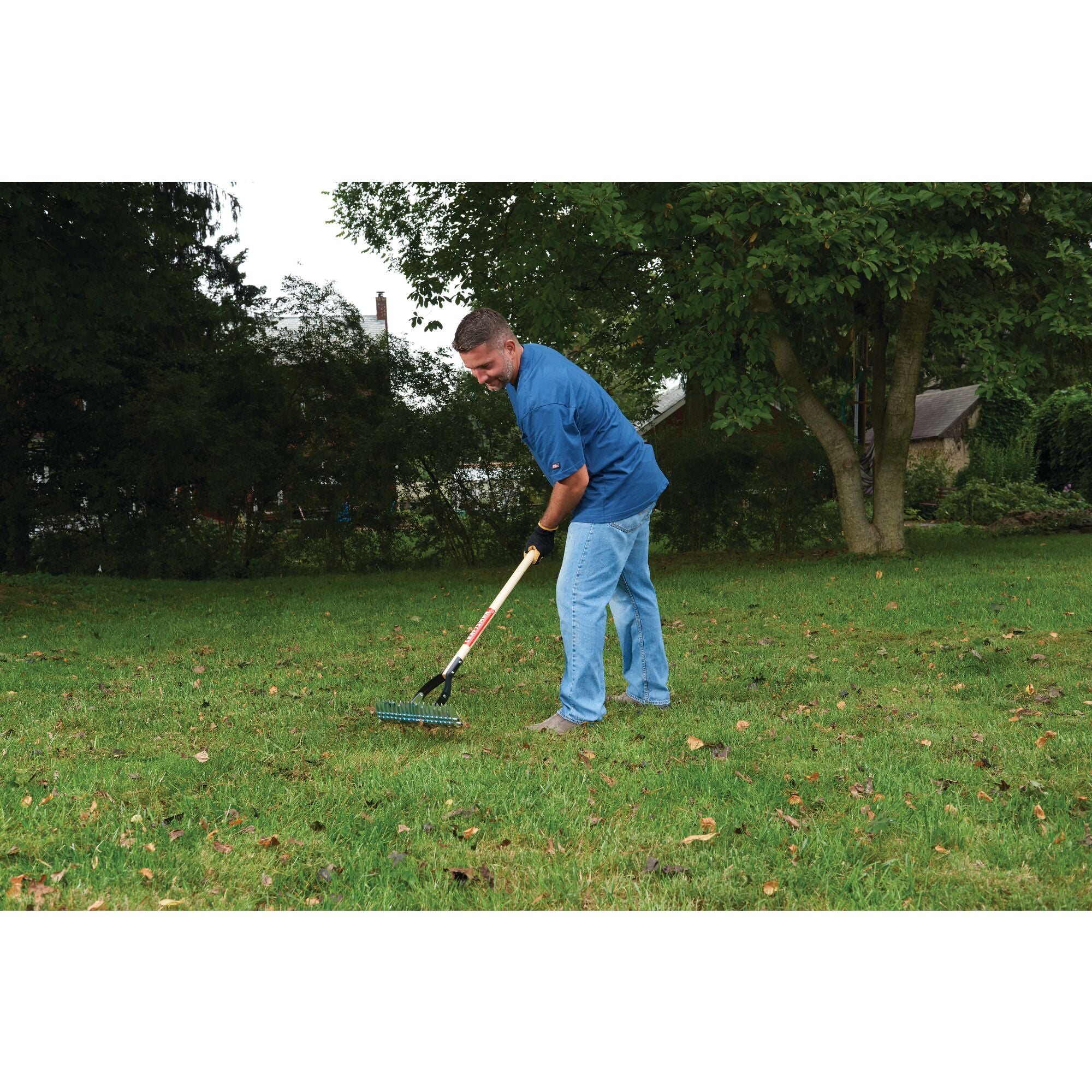 Craftsman thatching outlet rake